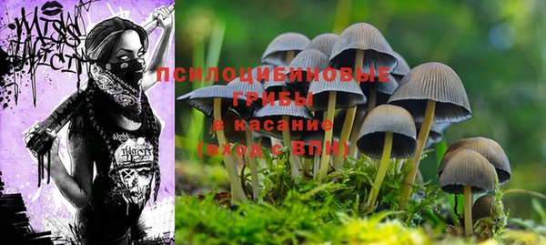 сатива Краснослободск