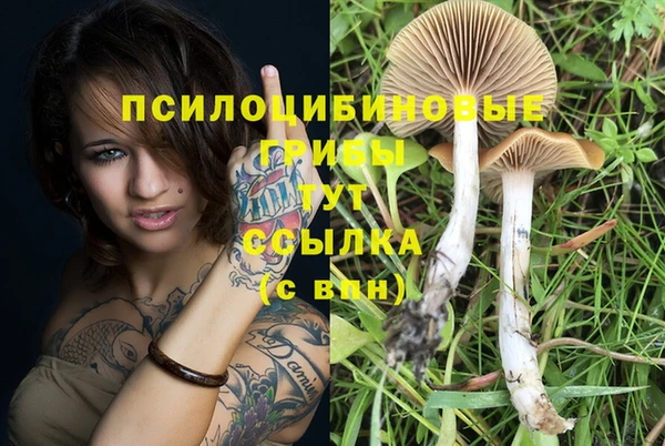 молекула духа Абдулино