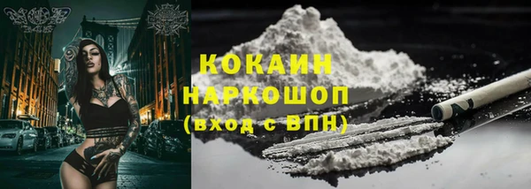 сатива Краснослободск